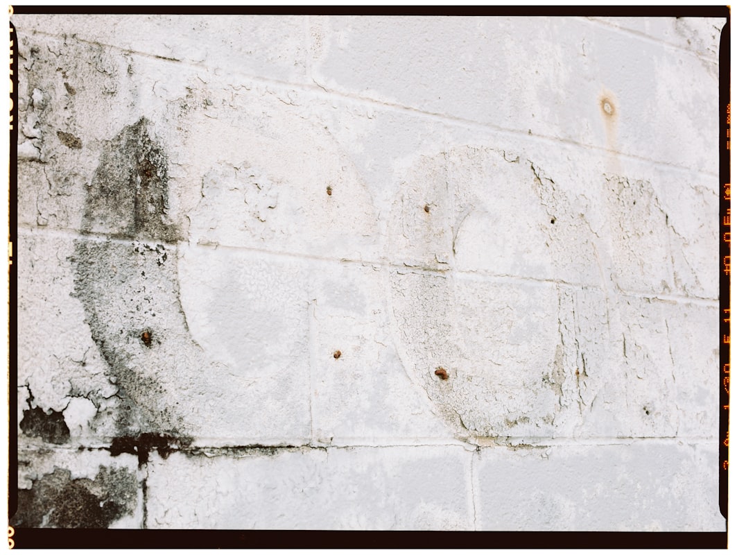 Flood Cleanup service in Pflugerville, TX