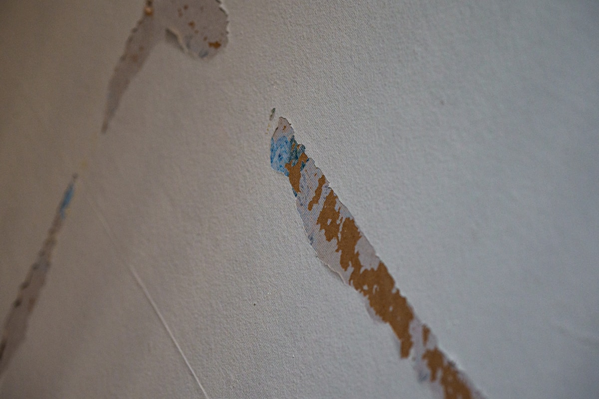 Basement Water Removal service in Pflugerville, TX